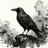 Draumar Hrafnsins (The Crow's Dreams)