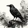 Draumar Hrafnsins (The Crow's Dreams)