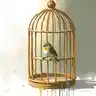 Morning Songbird 