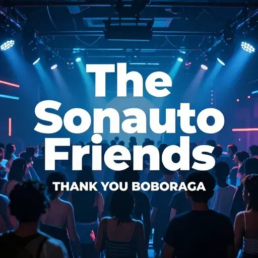 The Sonauto Friends - Thank You Boboraga artwork
