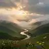 Freedom is the Sound