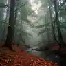Beyond the Veil