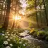 Morning Magic (Floof and Friends)