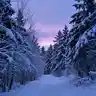 Standing in the Cold