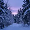 Standing in the Cold