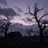 Haunted Designs