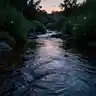Shallow Creek