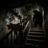 The Bear in the Basement