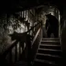 The Bear in the Basement