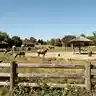 Real Beasts at the Zoo