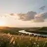 Hope for Ukraine (1 ver.)