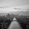 Why did you go away?