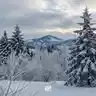 Standing in the Cold III