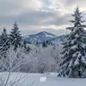 Standing in the Cold III