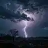 The Rising Storm II