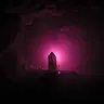 The Pink Light Alive & Seatralia Dreaming into The Night