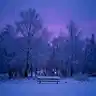 Standing in the Cold II