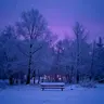 Standing in the Cold II