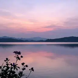 We will meet again (pop/chillout with handpan)) (1)