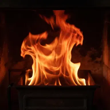 Fire in My Belly