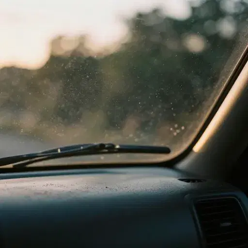 Dust on the Dash artwork