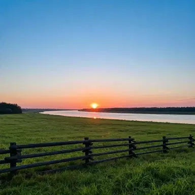The Property Line