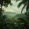 Lazy Green Haze
