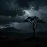 The Rising Storm