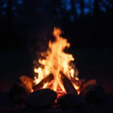 I turn on this on the fire