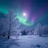 Nuclear Frost