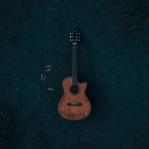 Louder Sound artwork