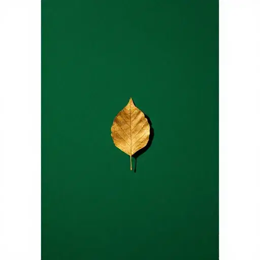 Du artwork