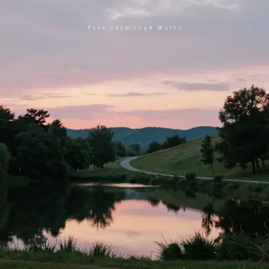 When the World Goes Quiet