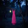 The Mage of The Light, Future and The Pink Magic Rise