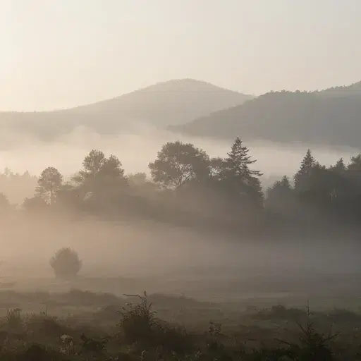 Mist From the Earth artwork