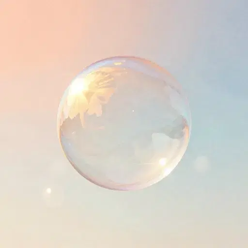 The soap bubble artwork