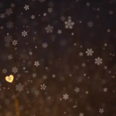 Christmas Lights, Take Me Home
