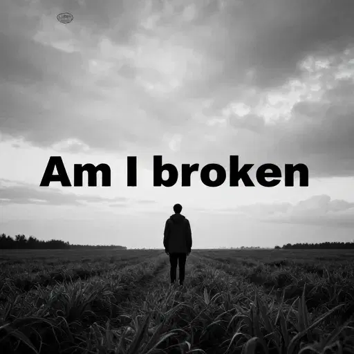 Am I broken  artwork