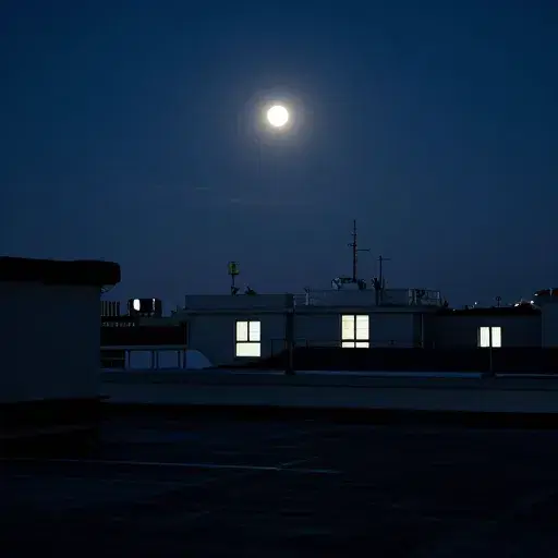 The Night is Not Over artwork