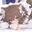 nekotlh