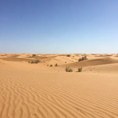 Wasteland