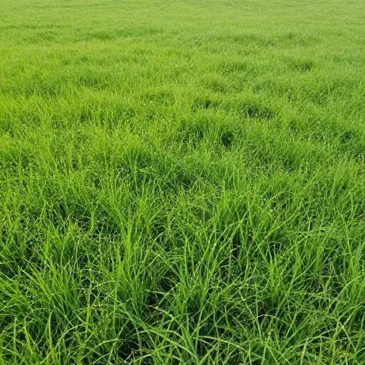 Natural Two artwork