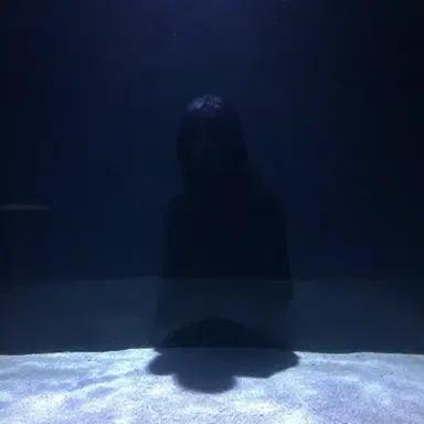 Trapped In An Aquarium