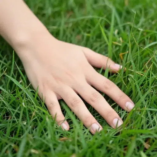 Touch the Grass artwork