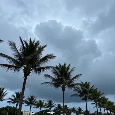 Storm Striker