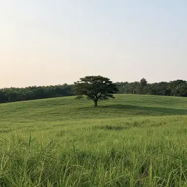 Home Was