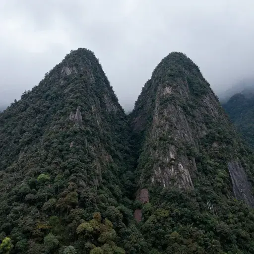 Mountain to Mountain artwork
