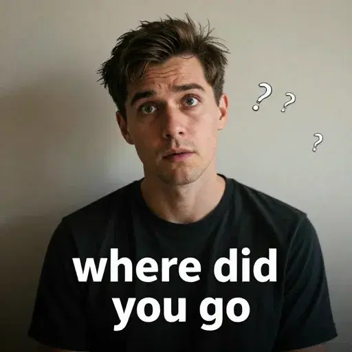 Where Did You Go artwork