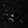 Vanta Black