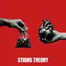 STRING THEORY
